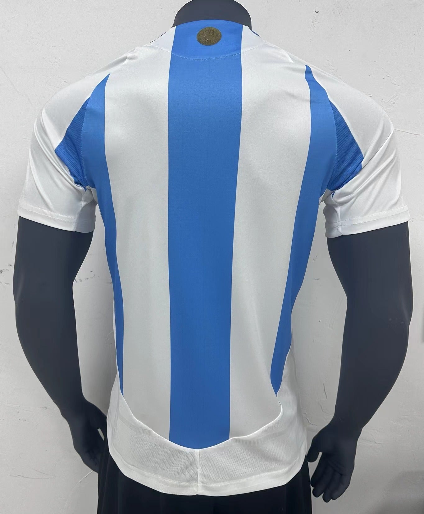 Argentina 2024 Kit