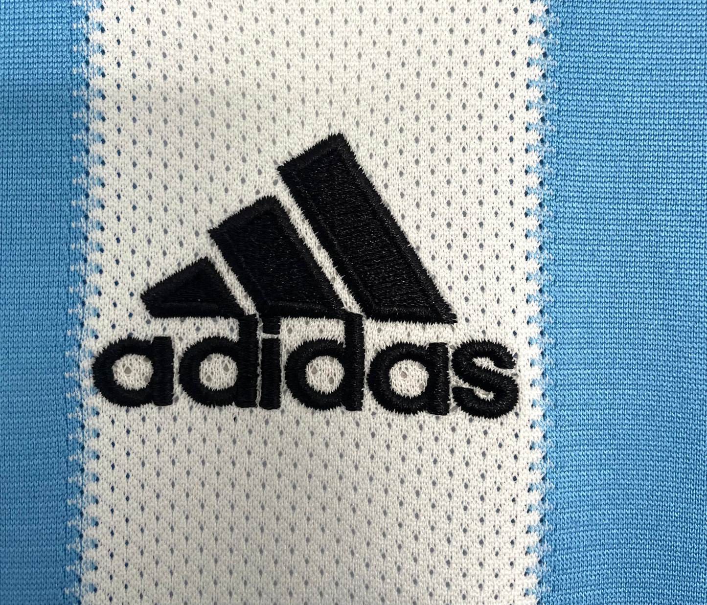 Argentina 2010 Home Kit