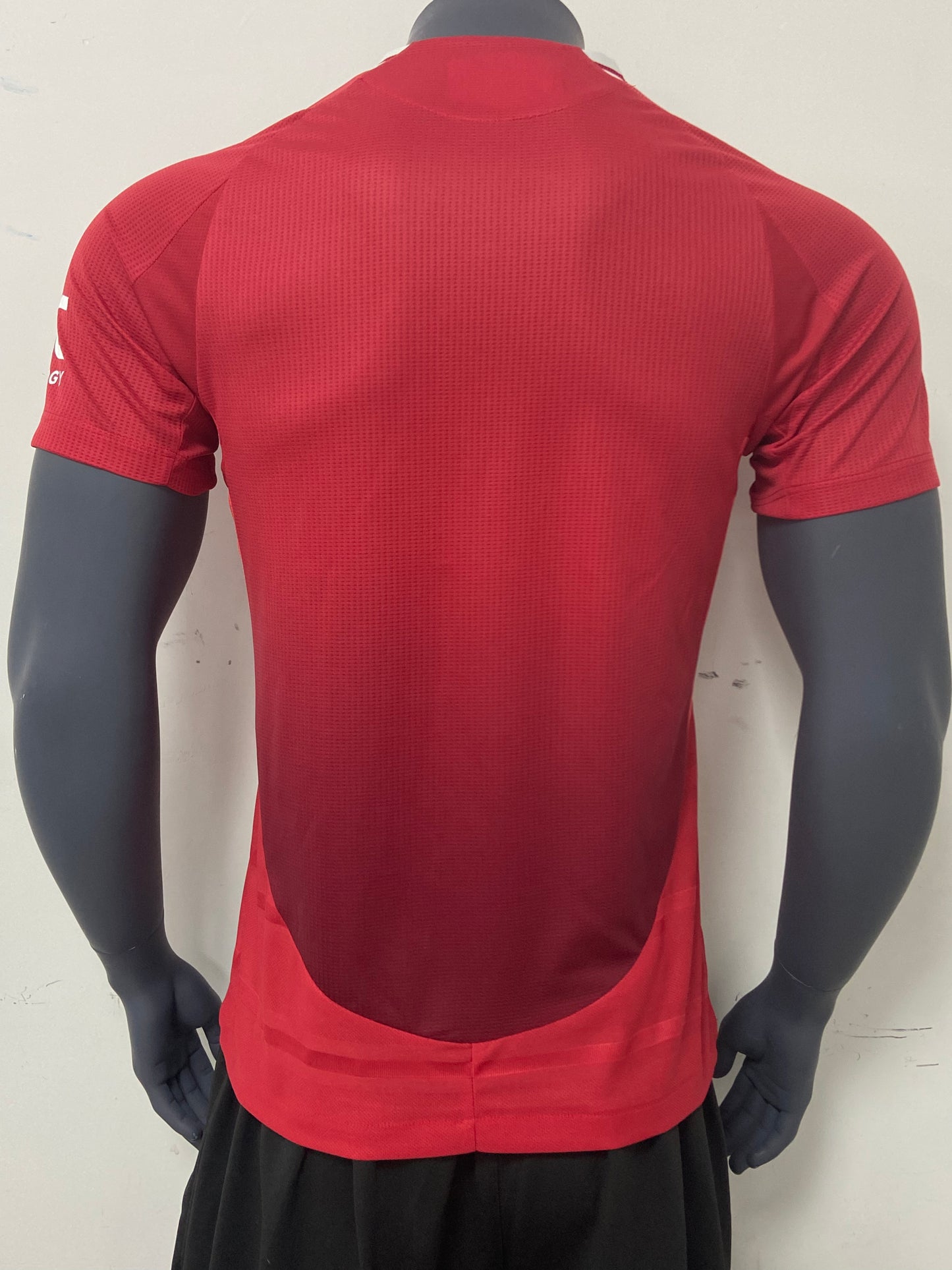 Manchester United 2024-2025 Home Kit